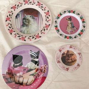 Harry Potter Cat Plates